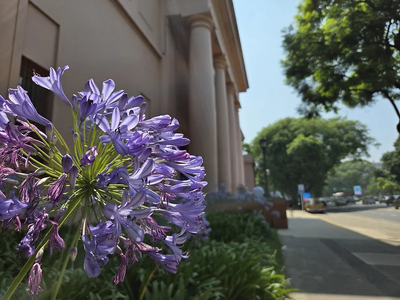 55012319945_84eab9a7e4_c