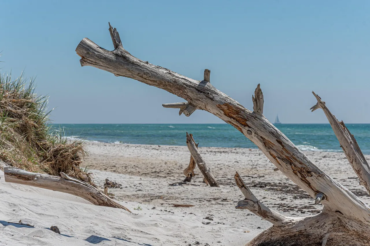 coast-7366616_1280