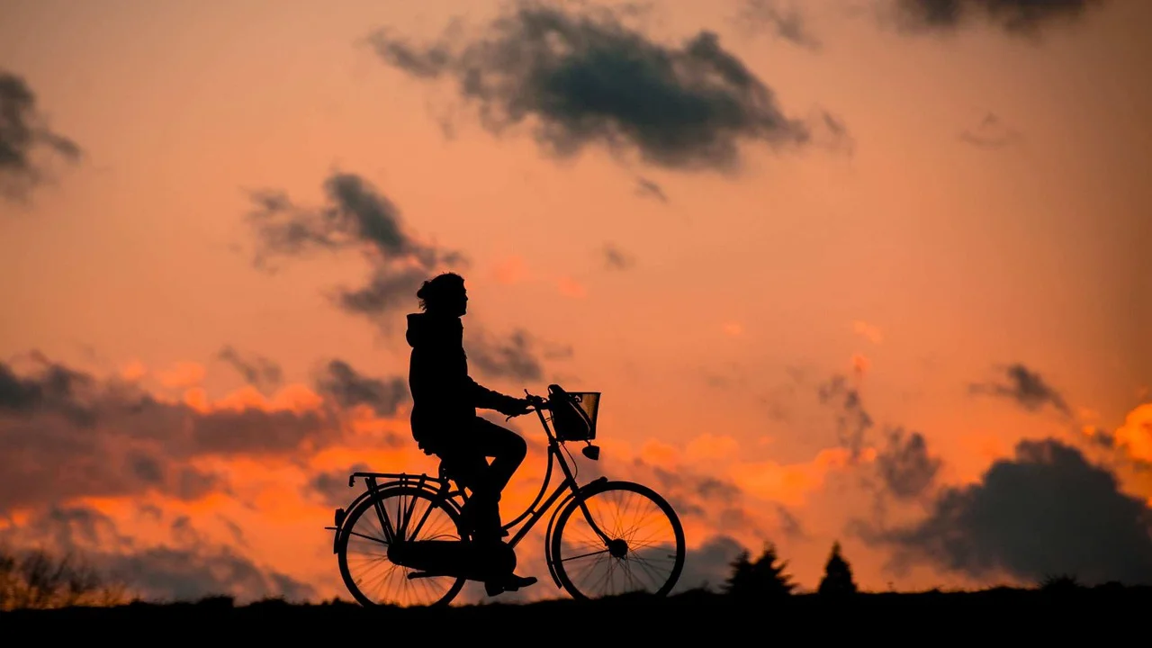 renategranade0-silhouette-683751_1280